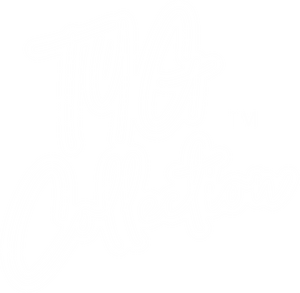 Open image in slideshow, The TYG Collection Gift Card
